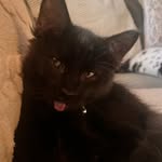 Garrett Lang - @ghosty74368 - Instagram