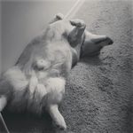 Garrett Mayernik - @garrettmayernik - Instagram