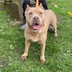 Garrett Mcgowan - Facebook