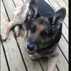 Garrett McGraw - @garrett.mcgraw - TikTok
