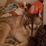 garrett norris - @dragracer3 - Instagram