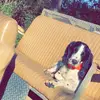 Garrett Norris - @garrett_norris01 - TikTok