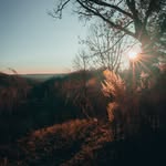 Garrett Olson - @gxrrettolsonphoto - Instagram