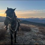 Garrett patton - @gar_patton220 - Instagram