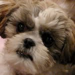 Meri Roo Garrett-Perez - @meri.roo - Instagram