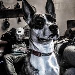 Garrett Phares - @garrettphares85 - Instagram