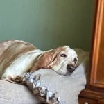 Garrett Price - @garrettprice2115 - Instagram