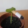 prince.garrett - @prince.garrett - TikTok