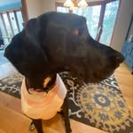 garrett rainey - @grainey06 - Instagram