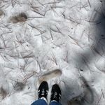 Garrett Read - @garrettread - Instagram