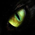 Garrett Reeves - @seveer2326 - Instagram