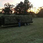 Garrett Robison - @robison01 - Instagram