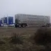 Garrett Olsen - @trucker_garrett - TikTok