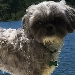 Garrett Rucker - @garrett.rucker.71 - Instagram