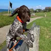 Garrett Rupp - @oliverstravels007 - TikTok