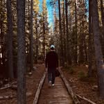 Garrett Sauer - @garrett.0811 - Instagram