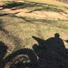 Garrett Saunders985 - @garrett_saunders4214 - TikTok