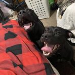Garrett Saunders - Facebook