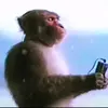 garrett_seidel - @garrett_seidel - TikTok