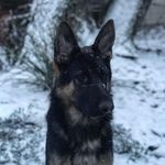 Garrett Self - @garrett_self - Instagram