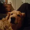 Gamm4 Sierra - @garrettshaver92 - TikTok