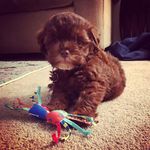 Garrett Sherman - @garrettindc - Instagram
