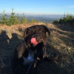 Sherman Garrett - @sherman_garrett - Instagram
