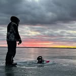 Garrett Silva - @847corals - Instagram