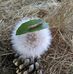 Garrett Simonds - Facebook