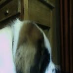 Garrett Sisson - Facebook
