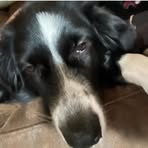 Garrett Snook - Facebook