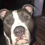 Landon Garrett Snooks - Facebook