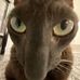 Garrett Snyder - Facebook