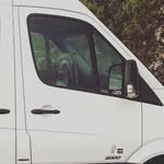 garrett stuart - @faroutvan - Instagram