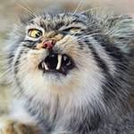 Garrett Swift - @garrettswift - Instagram