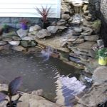 Terry Garrett - @terry.garrett.79656 - Instagram