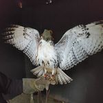 Garrett Tompkins - @garrett.tompkins.9 - Instagram