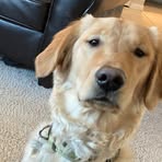 Garrett Vogel - Facebook