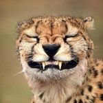 Garrett Vogel - @gucci_garebear - Instagram
