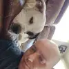 garrettwalls - @garrett.walls - TikTok