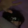 garrettwarner645 - @garrett.warner1 - TikTok