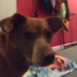 Garrett Weeks - @weeksy_4789 - Instagram