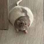 Garrett - @garrettwheat12 - Instagram