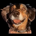 Garrett Wiley - @wiley.coyote.grooms - Instagram