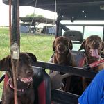 Garrick Davis - @garrick1029 - Instagram