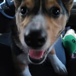 Garrison Green - @gman.3232 - Instagram