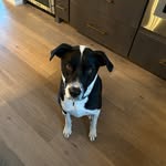 Garrison Greenwald - @greenwaldgarrison - Instagram
