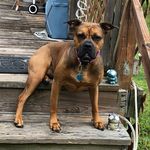 Garrison Johnson - @lord_patchius - Instagram