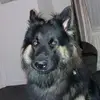 garryallison - @garryallison - TikTok