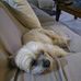 Garry Arthur - Facebook